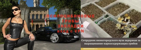 ПСИЛОЦИБИНОВЫЕ ГРИБЫ Киренск