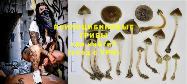 ПСИЛОЦИБИНОВЫЕ ГРИБЫ Киренск